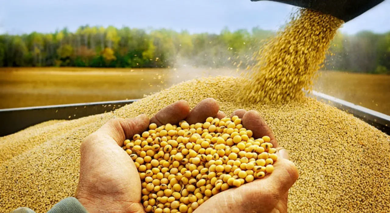 Osmaniyeli Çiftçiye Soya İçin Ek Destek