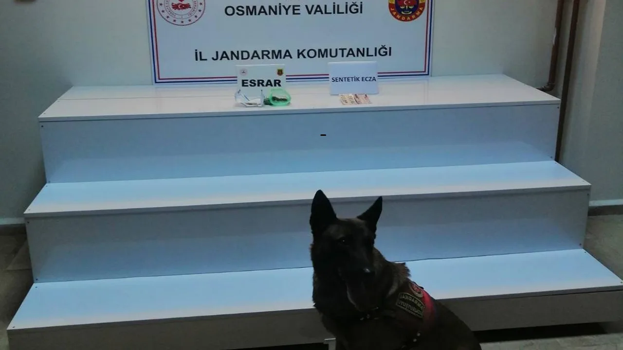 Osmaniye Jandarmasindan Asayis Ve Operasyon Basarisi