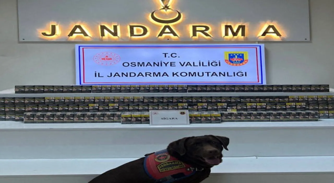 Osmaniye Jandarması Bir Haftada 170 Şüpheli Yakaladı Osmaniye Jandarması Bir Haftada 170 Şüpheli Yakaladı