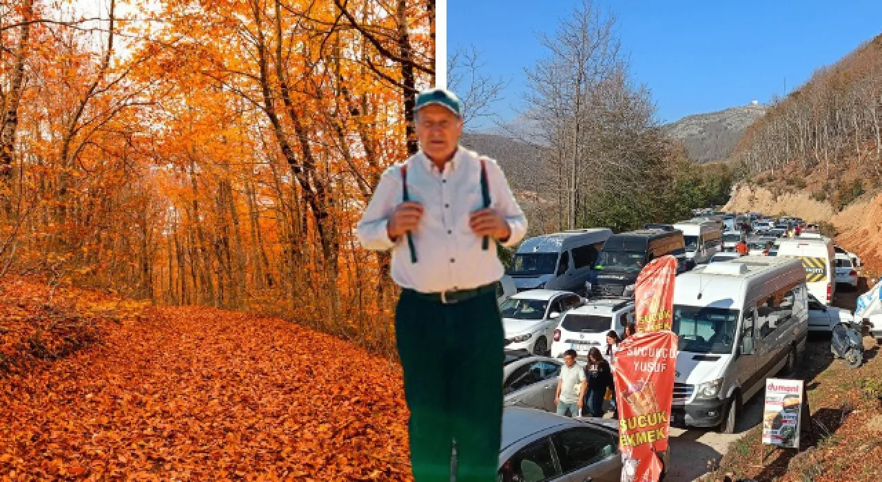 Düziçi Dumanlı Yaylası Kayın Ormanları Özel Işletmeye Kiralandı Düziçi Dumanlı Yaylası Kayın Ormanları Özel Işletmeye Kiralandı