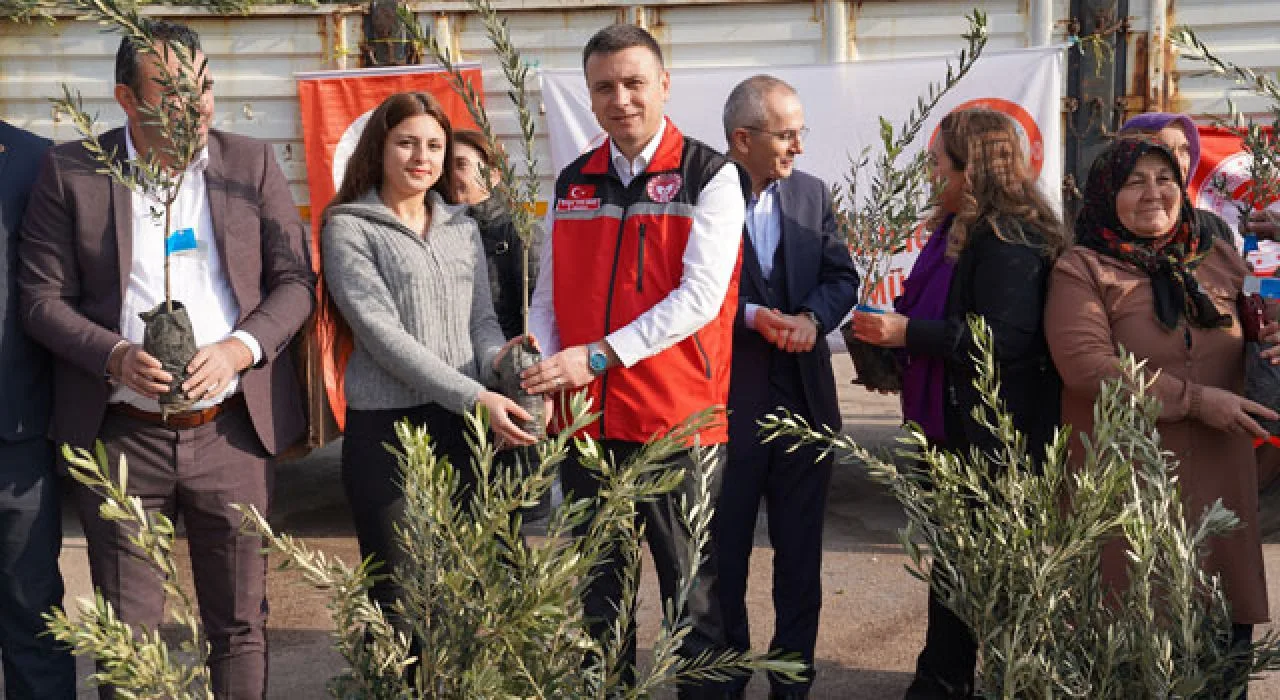 Osmaniye’de 114 Bin Zeytin Fidanı Dağıtıldı Osmaniye’de 114 Bin Zeytin Fidanı Dağıtıldı