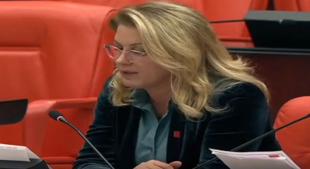 Chp’li Asu Kaya: Emekliler Yük Değil Onurdur Chp’li Asu Kaya: Emekliler Yük Değil Onurdur