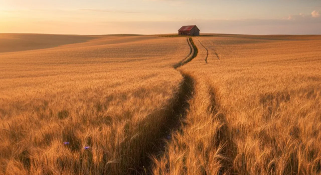 Osmaniye’de Genel Tarım Sayımı Süresi Uzatıldı Osmaniye’de Genel Tarım Sayımı Süresi Uzatıldı