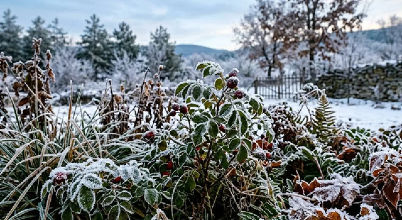 Osmaniye’de Zirai Don Alarmı Verildi Osmaniye’de Zirai Don Alarmı Verildi