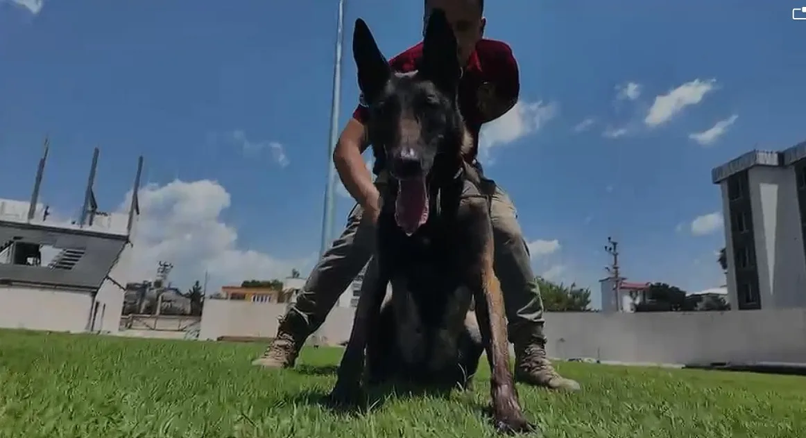 Osmaniye'Nin Narkotik Köpeği Jardi̇ Türkiye Birincisi Osmaniye'Nin Narkotik Köpeği Jardi̇ Türkiye Birincisi